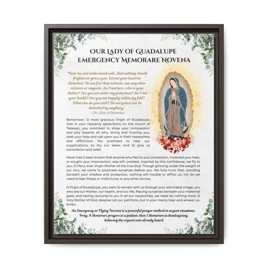 Our Lady of Guadalupe Emergency Memorare Novena, Framed (Multi-color)