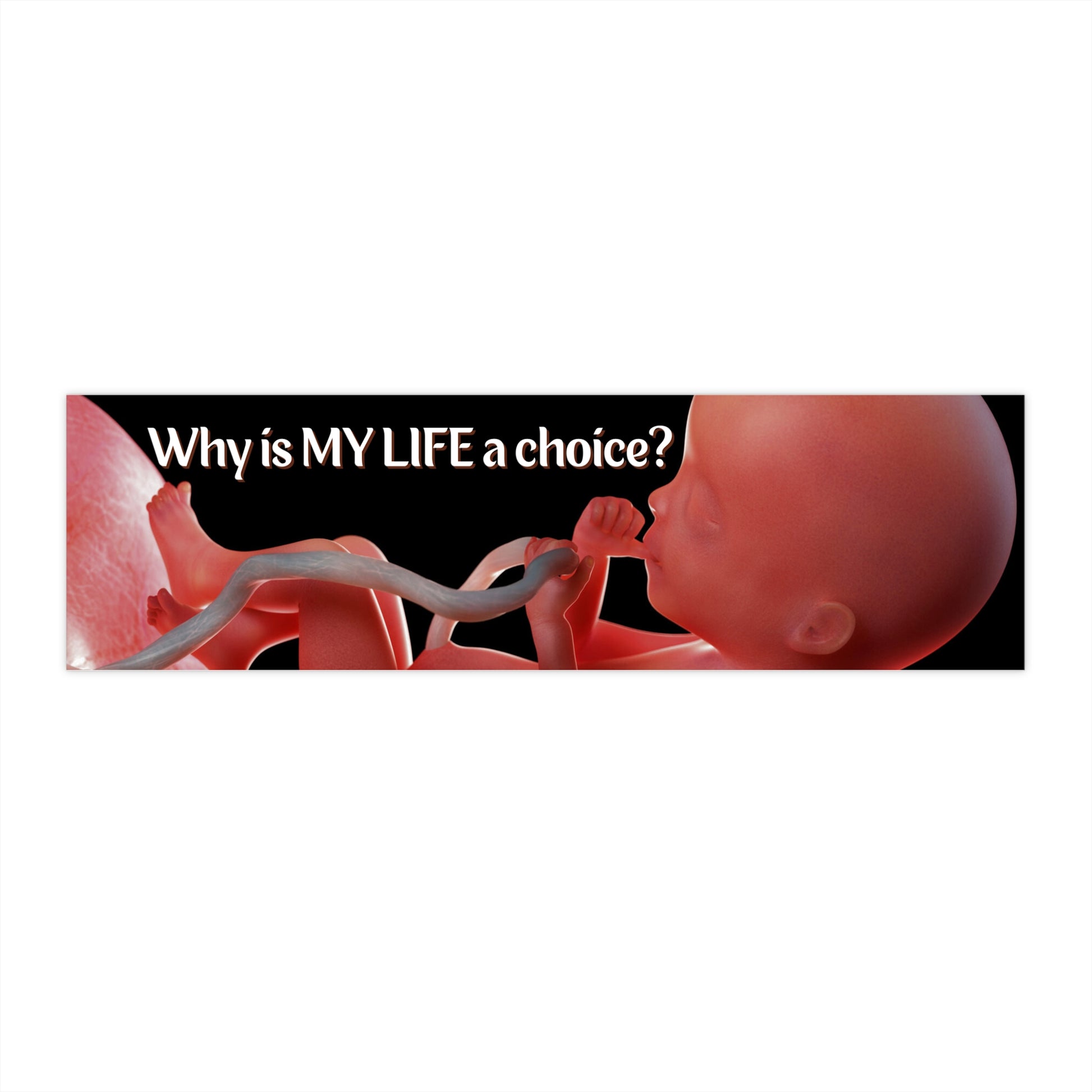 Why is MY LIFE a Choice Bumper Sticker