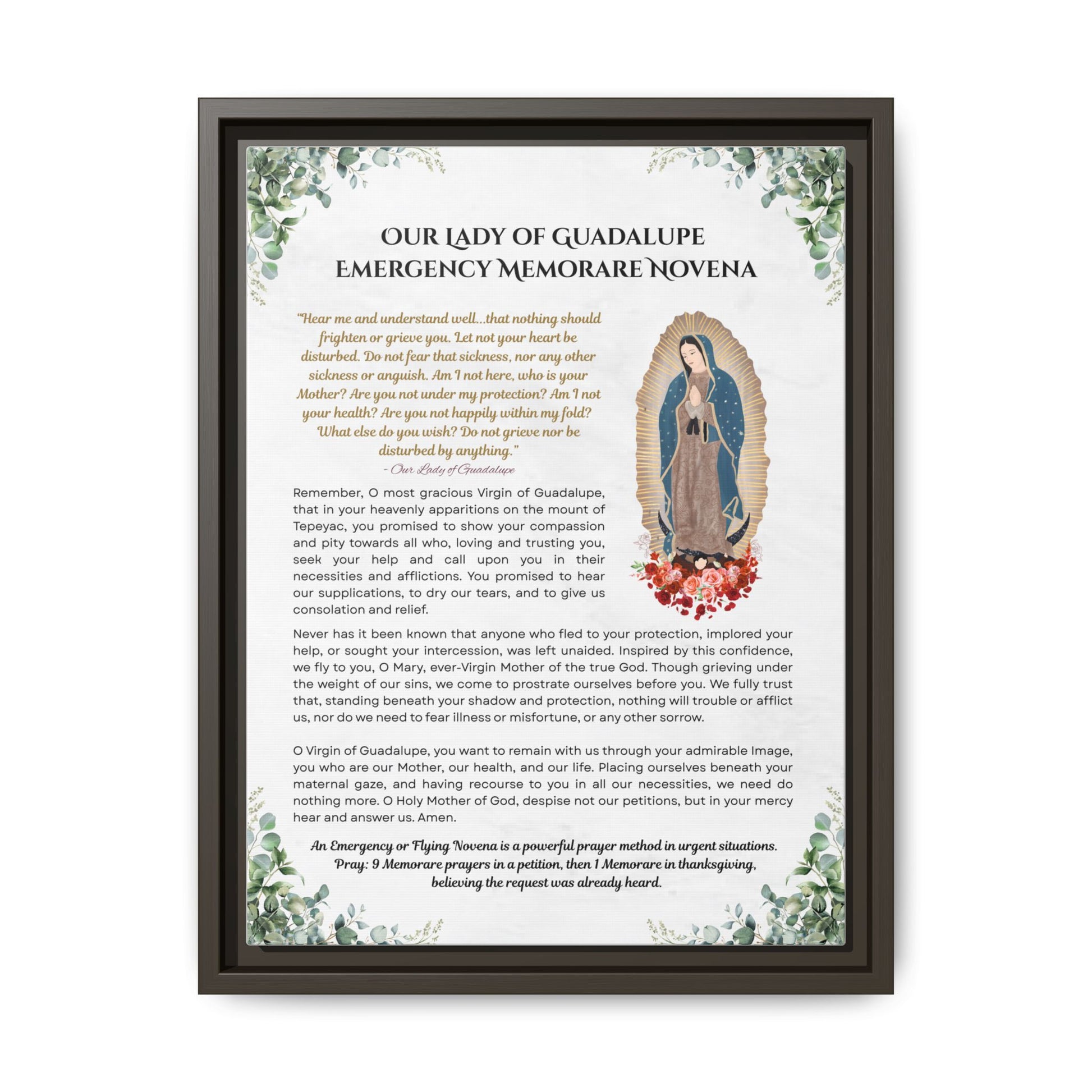 Our Lady of Guadalupe Emergency Memorare Novena, Framed (Multi-color)