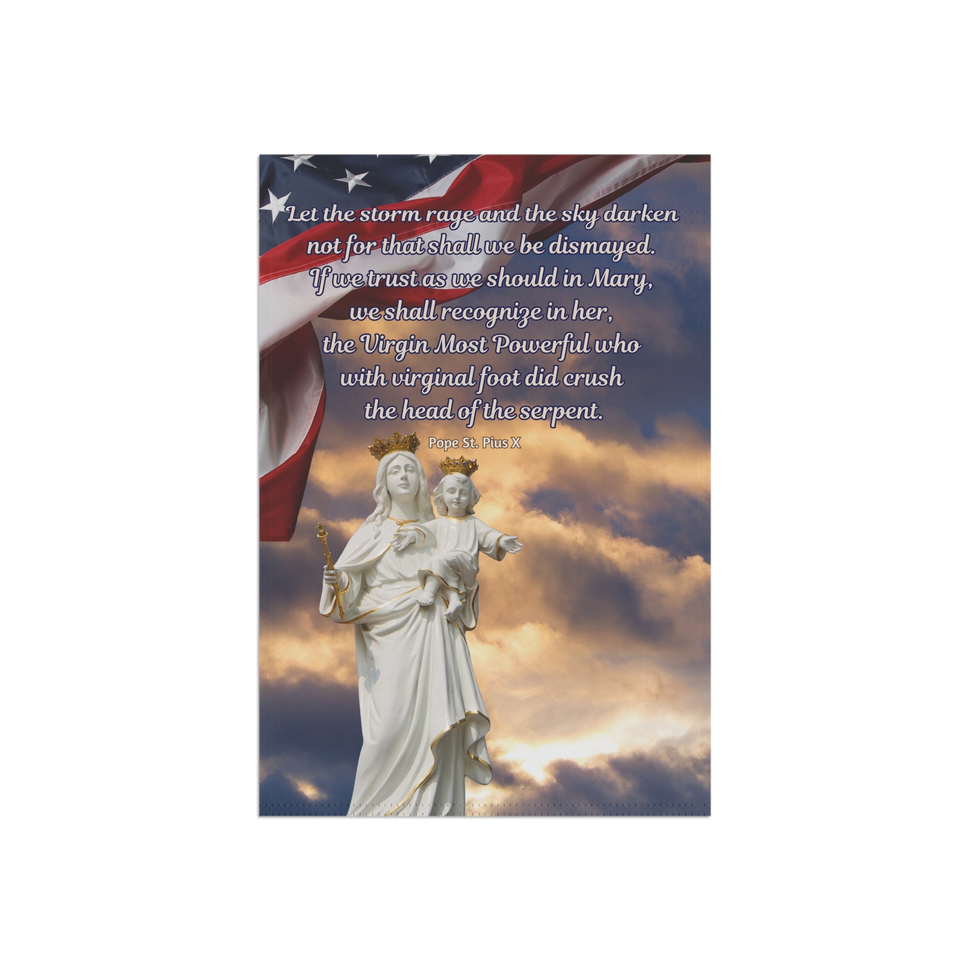 Pope St. Pius X Let The Storm Rage Design 2 Garden Flag