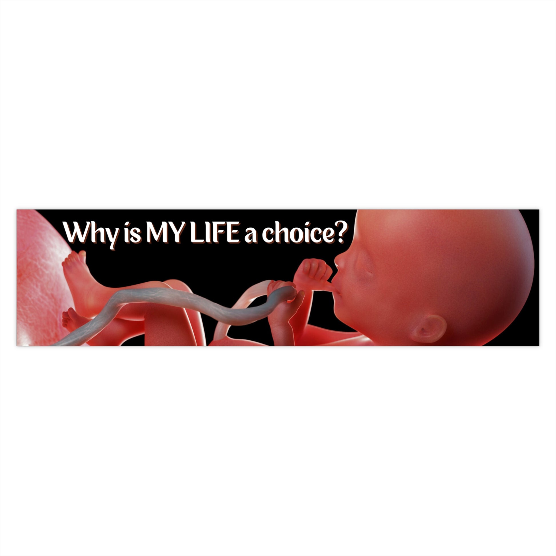 Why is MY LIFE a Choice Bumper Sticker