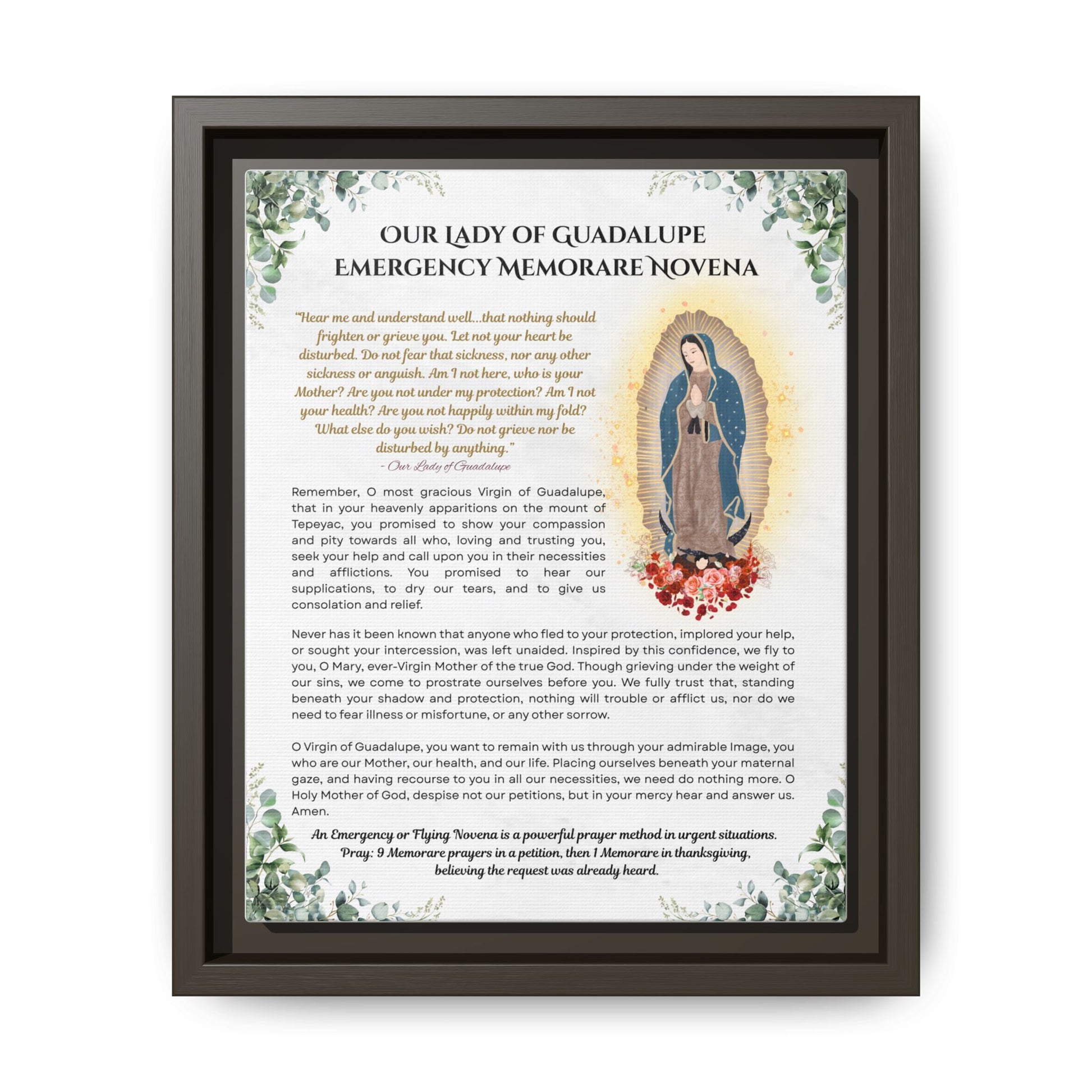 Our Lady of Guadalupe Emergency Memorare Novena, Framed (Multi-color)